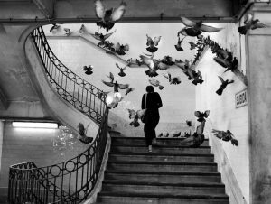 Mostra Henri Cartier Bresson